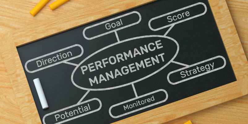 performance management system