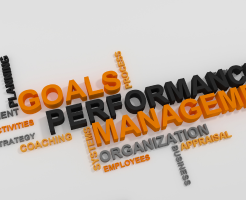performance management system
