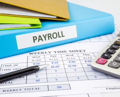 payroll audit