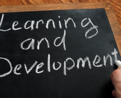 hr learning and devlelopment