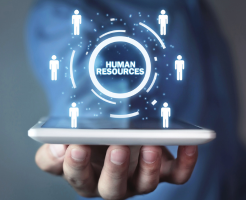 human resource activities