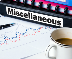 miscellaneous expenses 