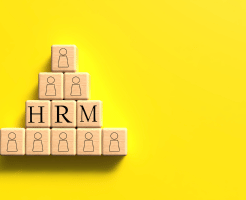 define strategic hrm