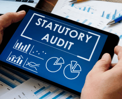 Statutory Audit