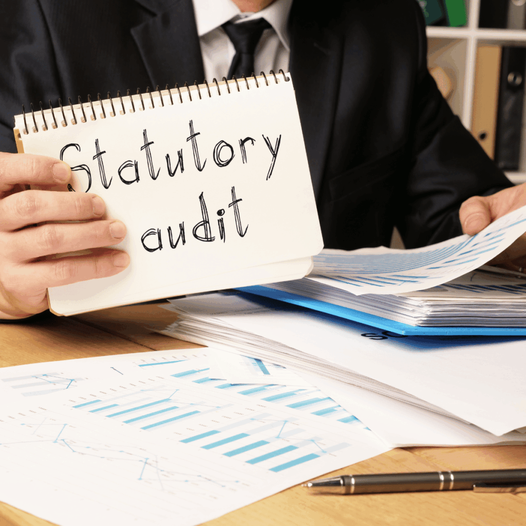 Statutory Audit