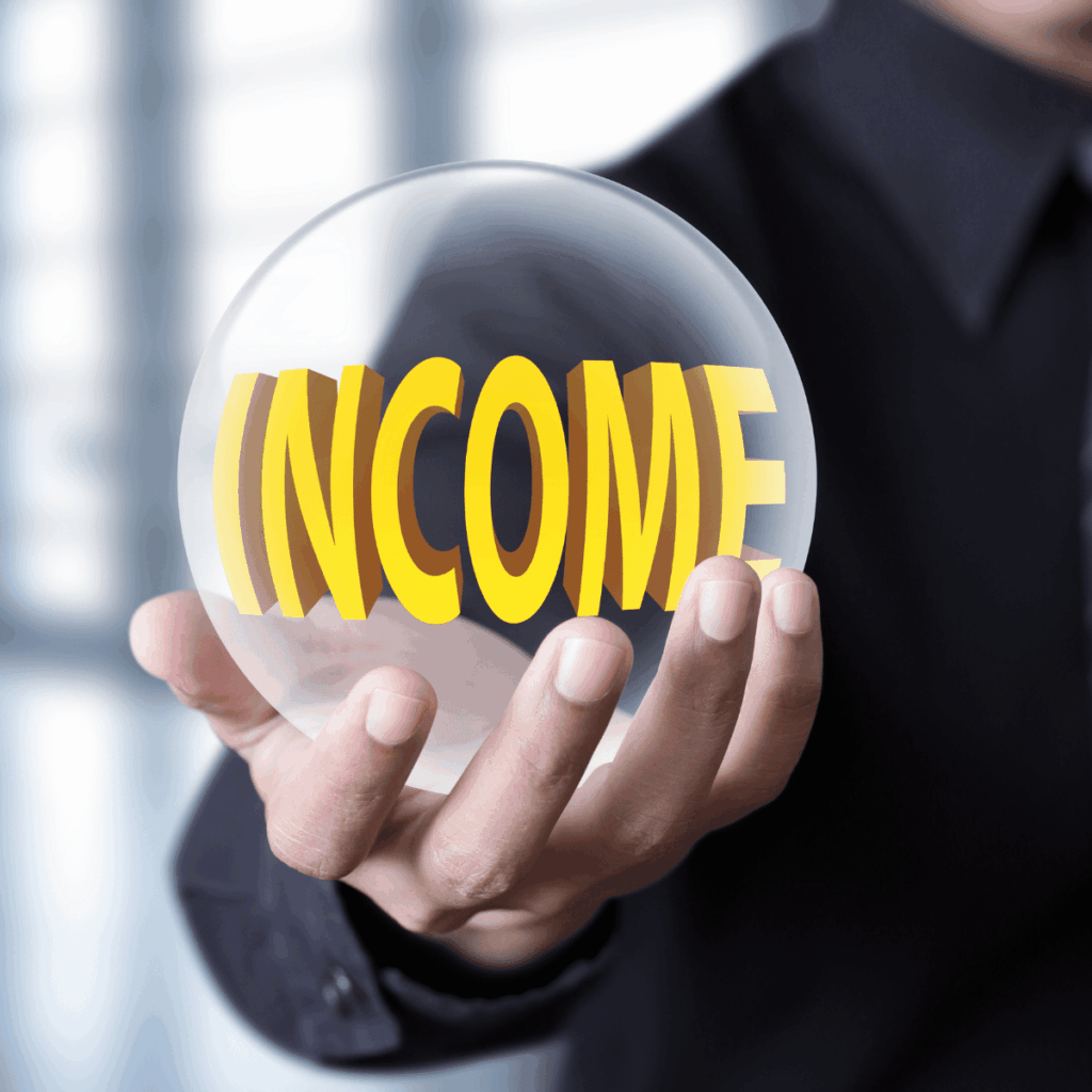 Income from Business and Profession: