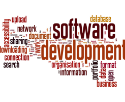 software development